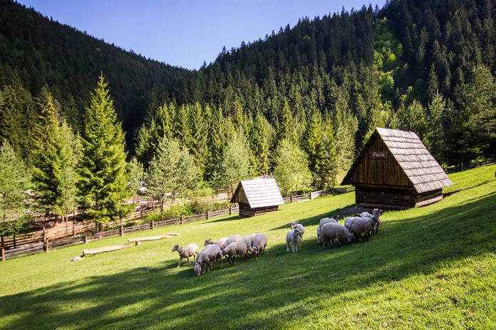 koliba u dobrého pastiera, Čutkovská dolina, Čutkovo