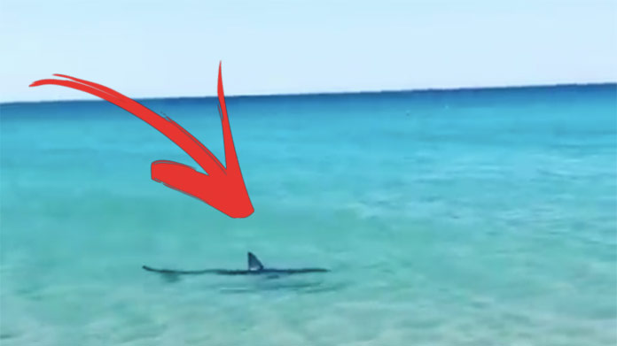 VIDEO: V ďalšej obľúbenej dovolenkovej destinácii Slovákov sa objavil žralok