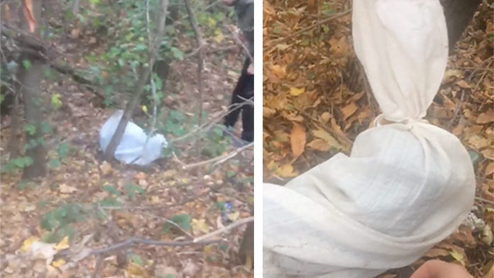 Psa niekto hodil do vreca a vyložil v lese. Ďalší prípad, ktorý otriasol Slovenskom