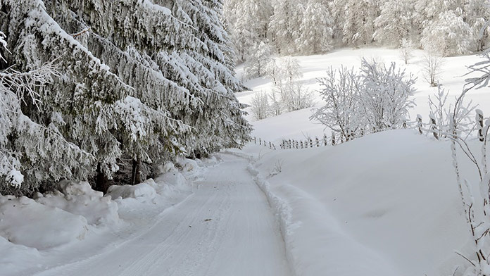 Blíži sa výdatné sneženie. Budúci týždeň zasiahne túto časť Slovenska