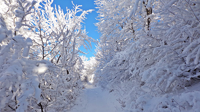 Cez víkend bude na Slovensku snežiť: Niekde napadne aj 20 centimetrov snehu