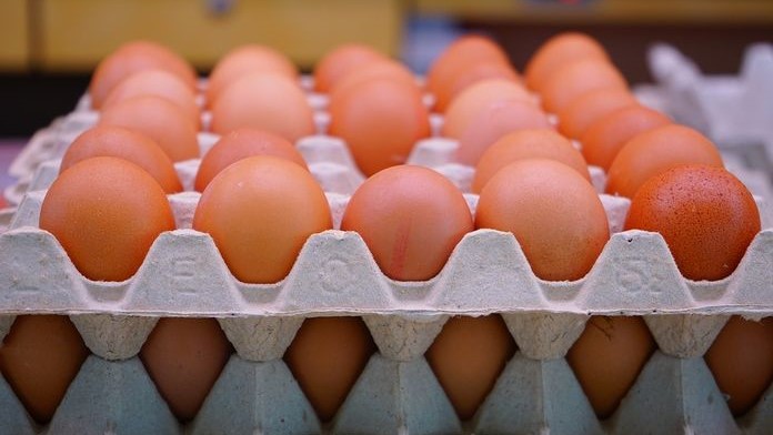 Záplava podozrivo lacných vajec v našich obchodoch: Na čo si dať pozor?