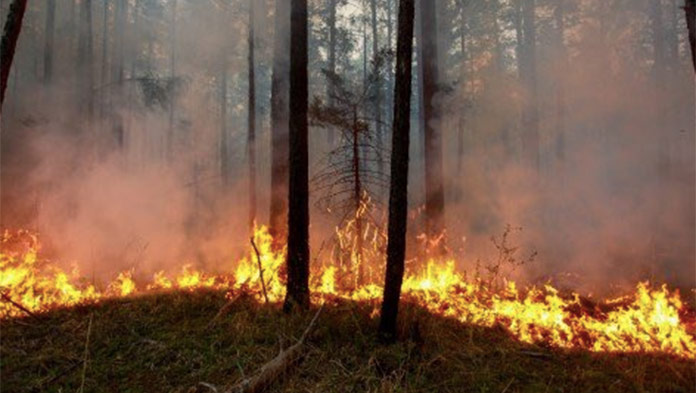 Obľúbená dovolenková destinácia Slovákov zápasí s požiarmi: Vypukli v tejto oblasti