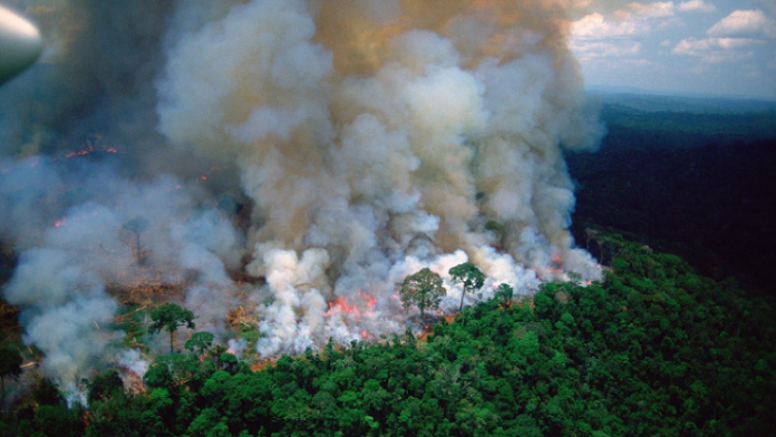 Rekordný počet požiarov v Amazónii. Krajina vyhlásila mimoriadny stav