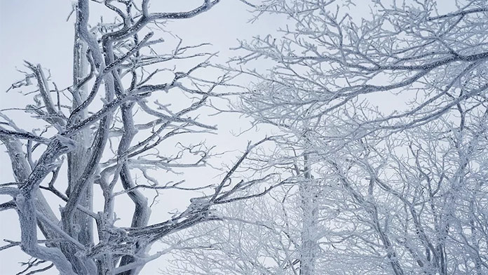 Meteorológovia varujú pred snehovou víchricou v jednej európskej krajine: Platia výstrahy 3. stupňa