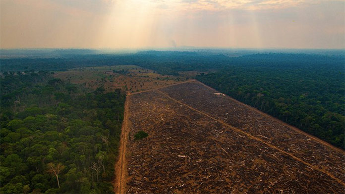 Rekordné odlesňovanie amazonského dažďového pralesa: Totálna katastrofa pre Amazonku