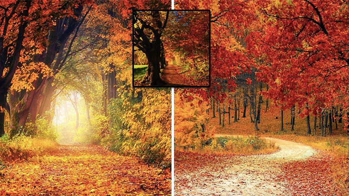 Nájdete dvojice jesenných fotiek do 20 sekúnd? Preverte si váš postreh v online pexese