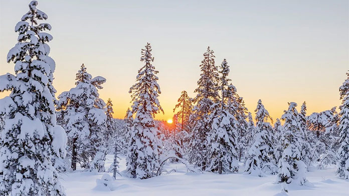 Sneženie i mrazy do -19 stupňov: Pozrite si predpoveď na nasledujúce dni