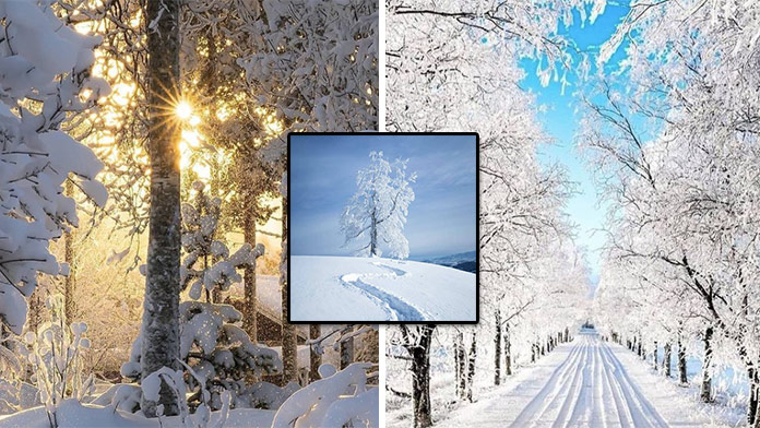 Zimné pexeso na utorok 4. januára: Nájdete fotky do 30 sekúnd?