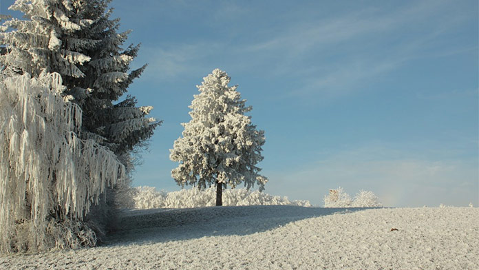 Na Slovensku udrú opäť silné mrazy: Od tohto dňa sa začne ochladzovať