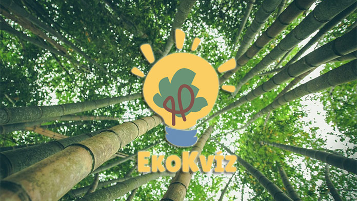 Dnes na Deň Zeme sa začína EkoKvíz. Zapojte sa a zlepšite si znalosti zábavnou formou!