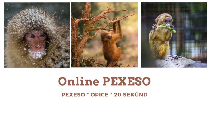 online pexeso peepl opice