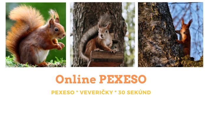 online pexeso vevericky peepl.sk