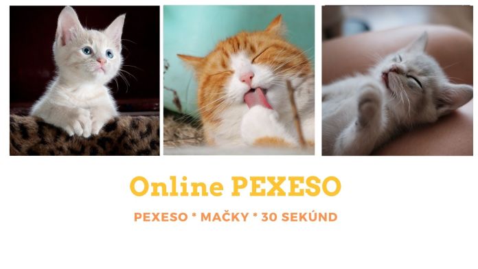 Online Pexeso na štvrtok:  Nájdete všetky mačky do 30 sekúnd?