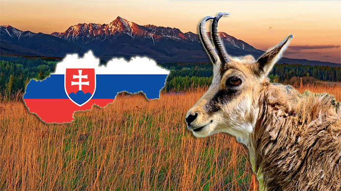 Ako dobre poznáte naše krásne Slovensko? Otestujte sa v kvíze z rôznych oblastí