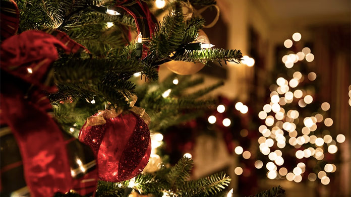 FOTO Vianočný stromček má už aj Banská Bystrica: Kvíz k článku ako bonus