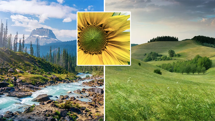 Online pexeso na stredu: Nájdete dvojice fotiek prírody do 20 sekúnd?