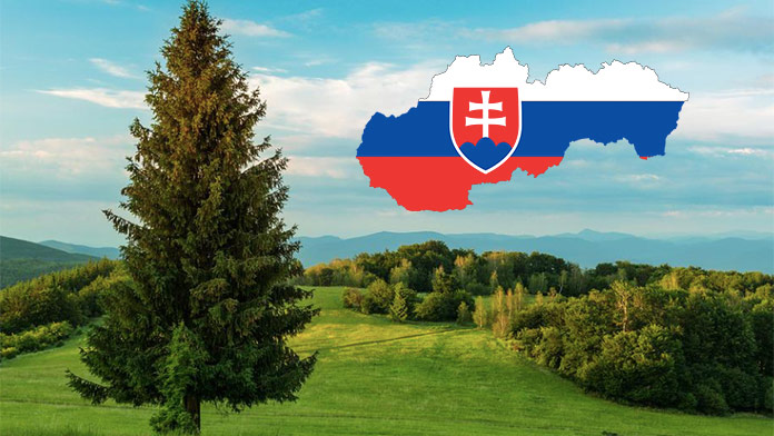 Poznáte kultúrne regióny Slovenska? Priraďte k nim správne mestá