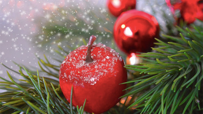 Vianočné online pexeso na 25. decembra: Aký budete mať čas?