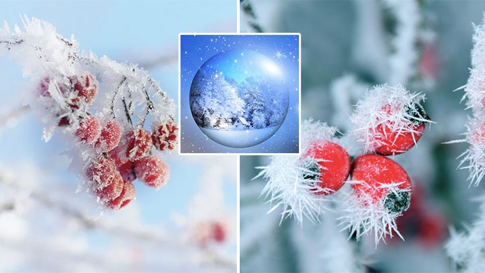 Zimné pexeso na 3. januára: Nenecháte sa pomýliť podobnými obrázkami?