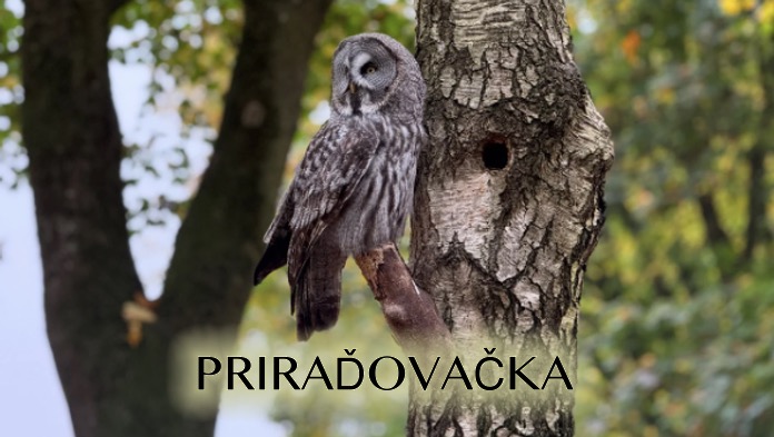 Priraďovačka o meste Trója: Doplňte chýbajúce slová  (3. január)